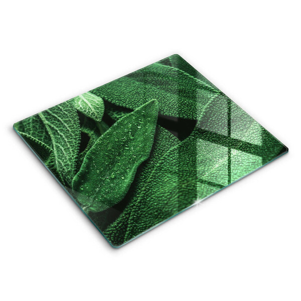 Tocător de bucătărie modern Frunzele plantei 60x52 cm
