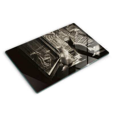 Tocător din sticlă modern Orașul și fereastra pisicilor 80x52 cm