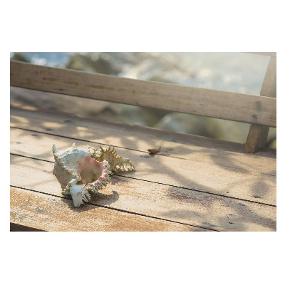 O scoică așezată pe o bancă din lemn