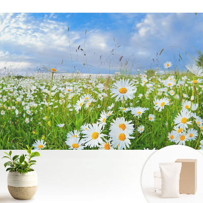 O pajiște înflorită vara