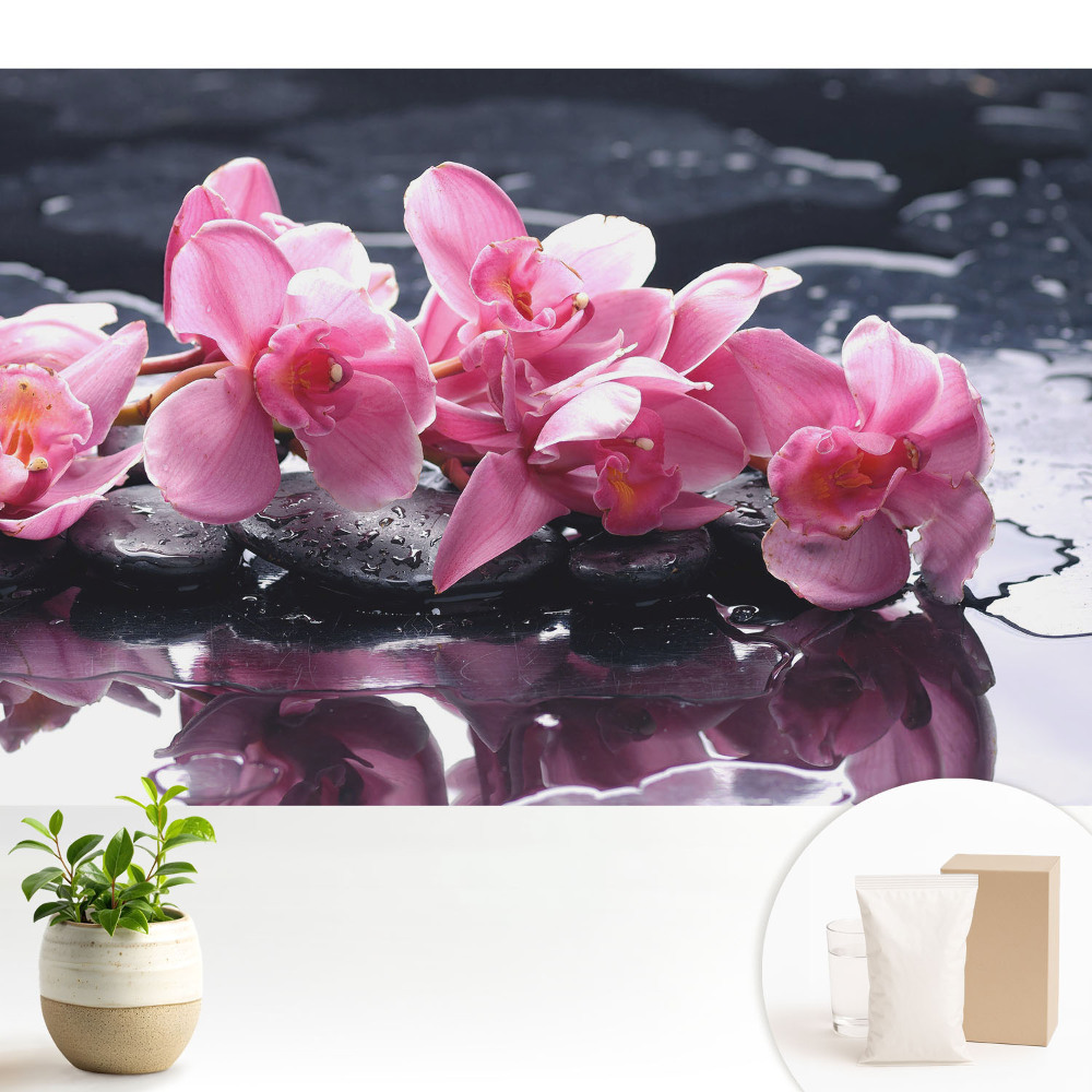 Orhidee roz pe pietre