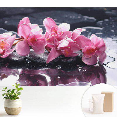 Orhidee roz așezată pe pietre