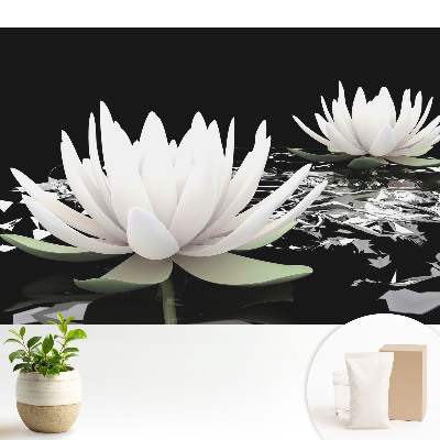 Nuferi eleganți pe fundal întunecat