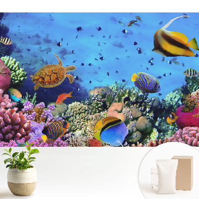 O lume subacvatică plină de culoare