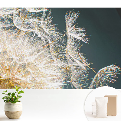 Semințe eterice de păpădie delicată