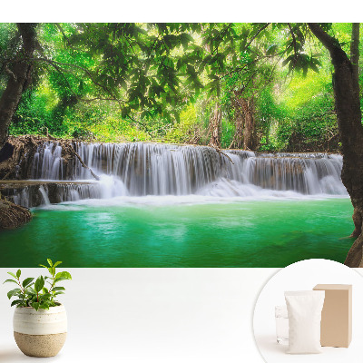 O cascadă înconjurată de verdeață