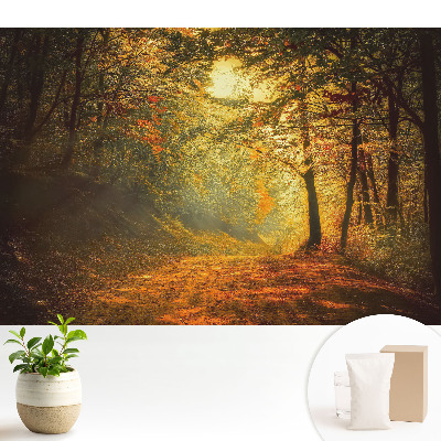 Magia pădurii de toamnă