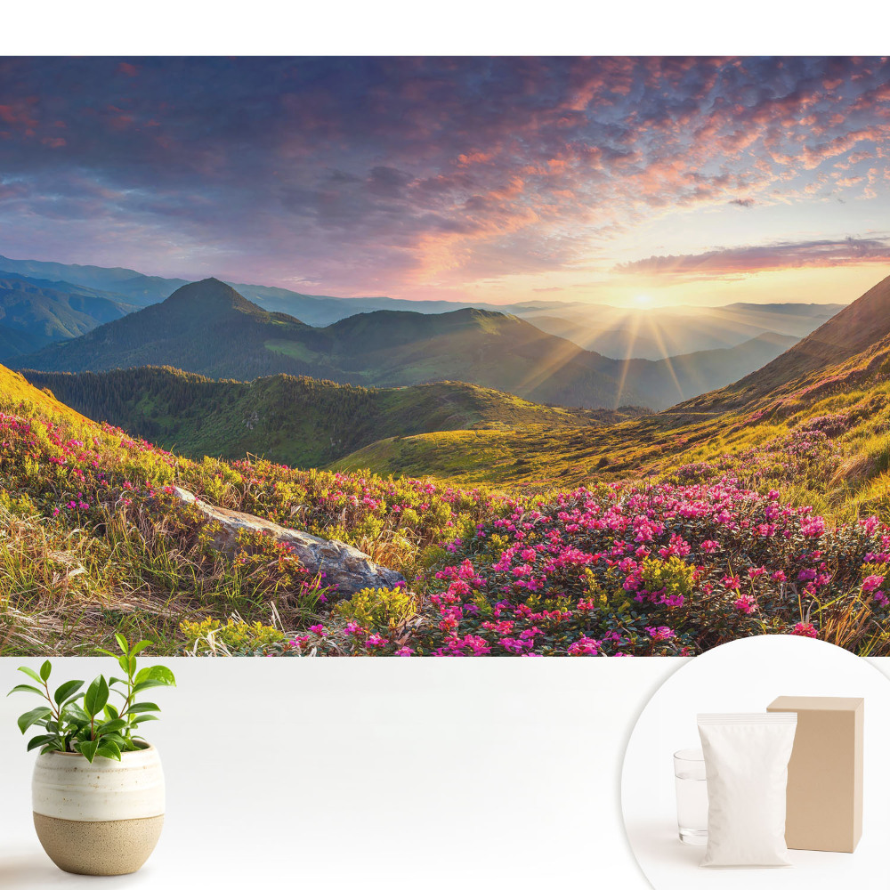 Peisaj montan în soare