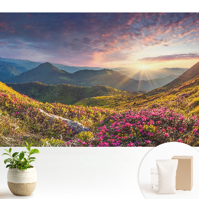 Peisaj montan în soare