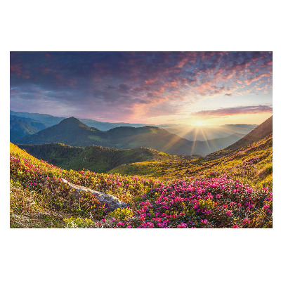 Peisaj montan însorit