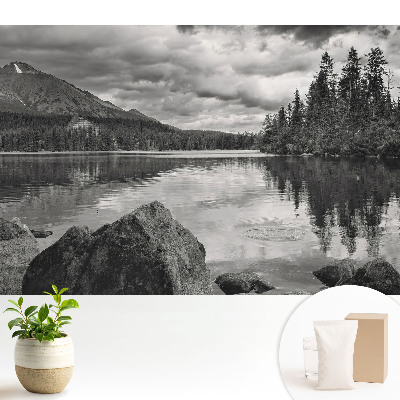 Peisaj montan lac copaci