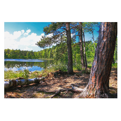 Peisaj forestier lângă lac în tonuri naturale, atmosferă de liniște