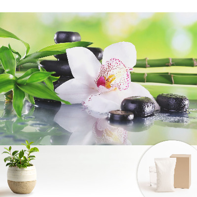 Orhidee și pietre înconjurate de bambus