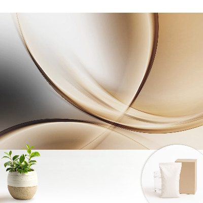 Abstracție elegantă a arcurilor și curbelor