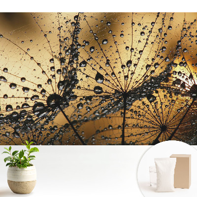 Picături elegante pe plasă în lumină