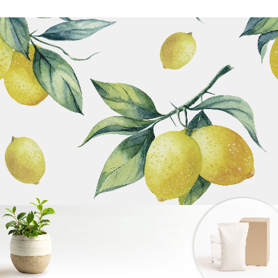 Model cu lămâie verde suculent