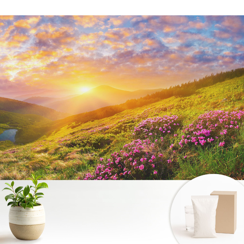 Flori de munte la apus de soare