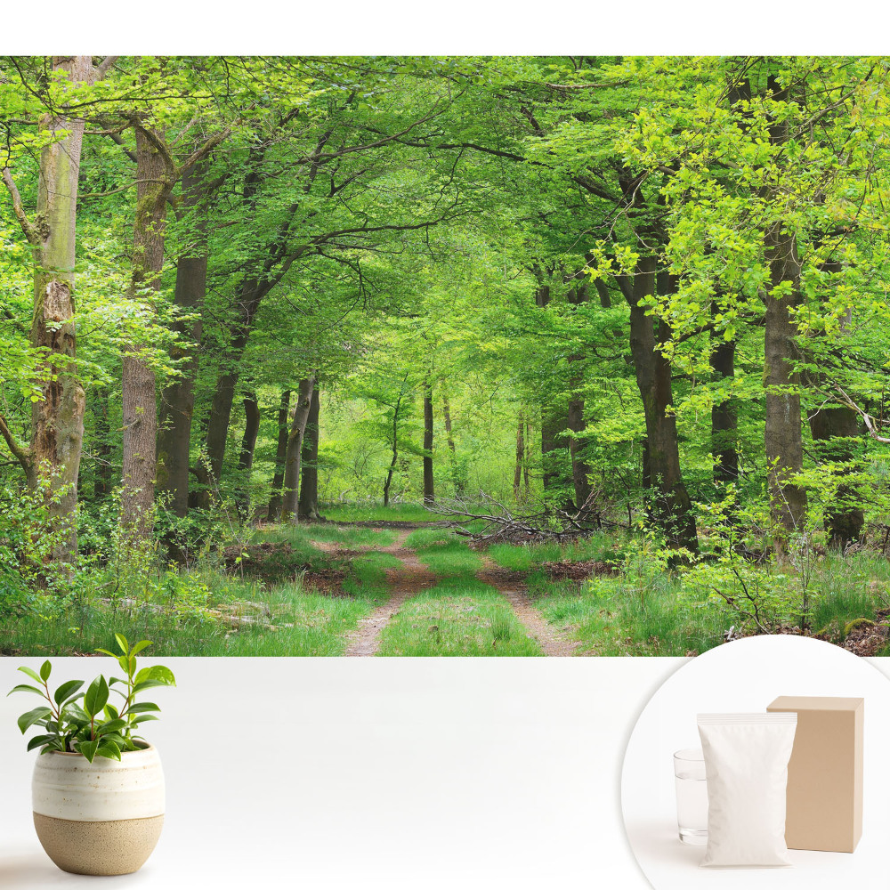 Peisaj armonios de pădure verde