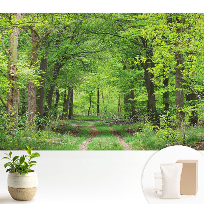 Peisaj armonios de pădure verde