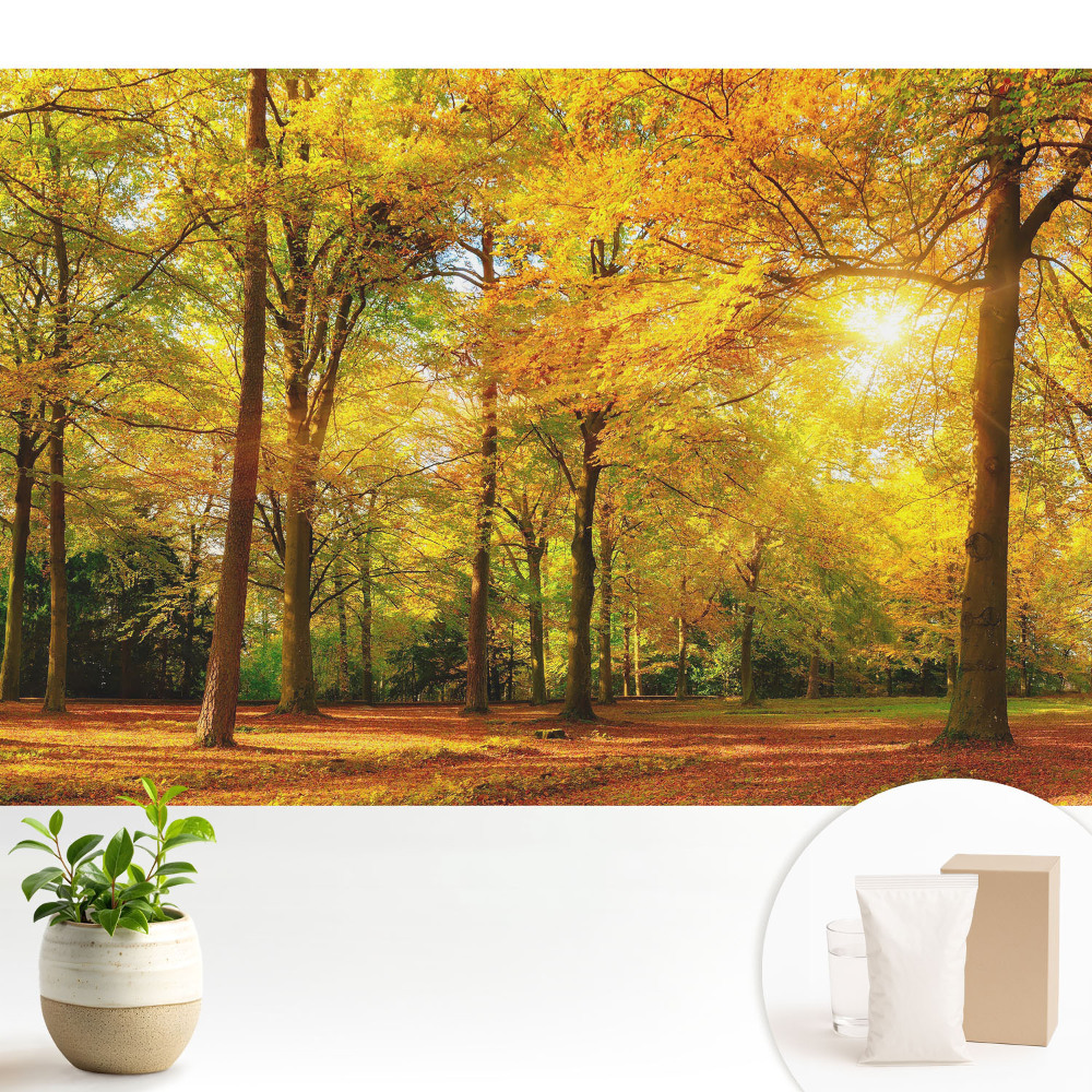 Panoramă de toamnă a pădurii pline de frunze colorate