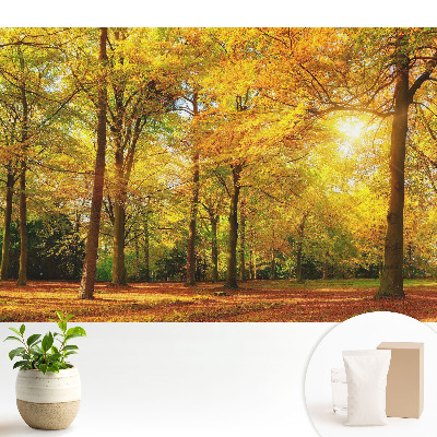 Panoramă de toamnă a pădurii pline de frunze colorate