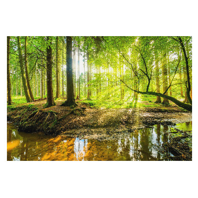 Pace în pădure cu lumină blândă și un pârâu șerbând