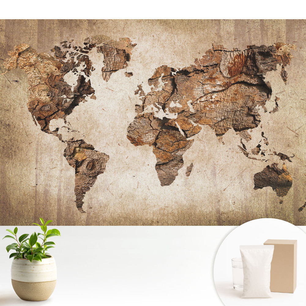 Hartă rustică a lumii