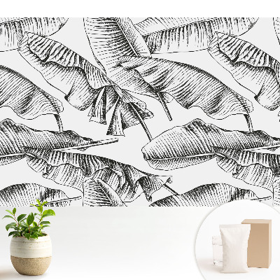 Frunze clasice de bananier