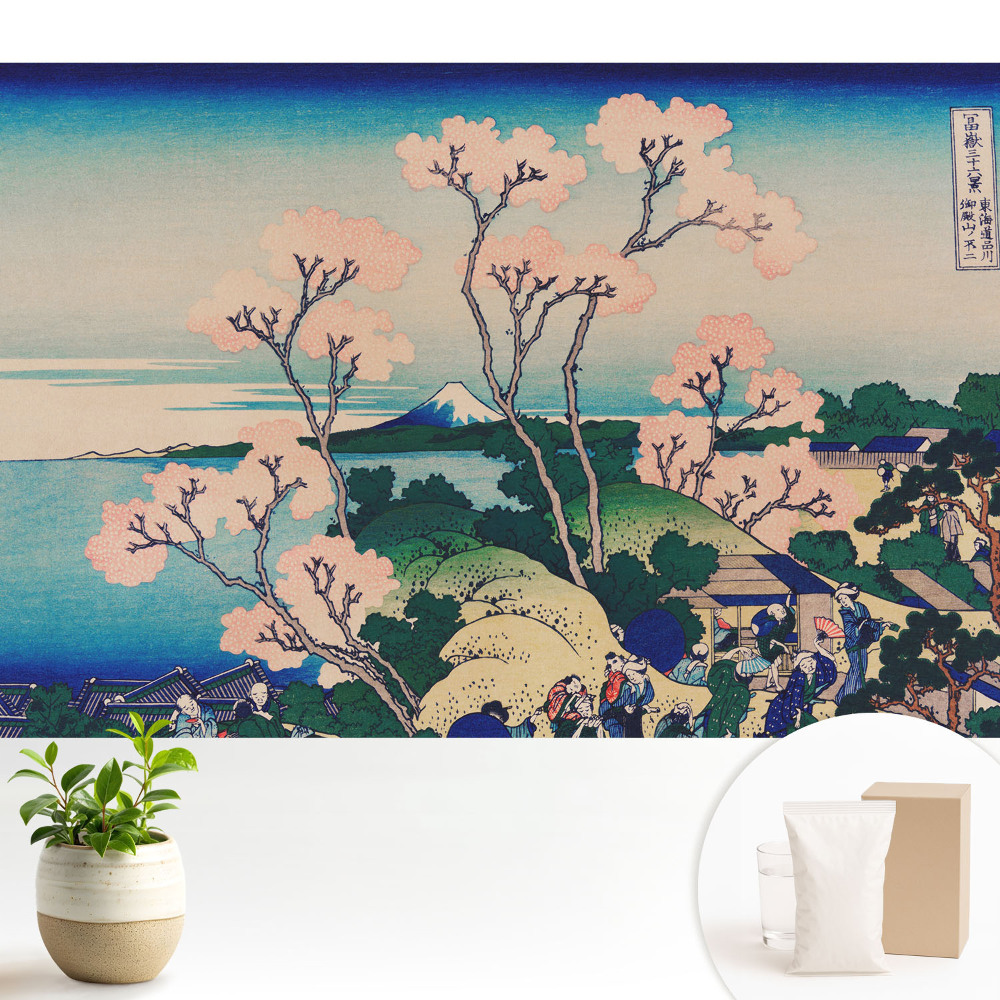 Farmecul primăverii peisajului japonez