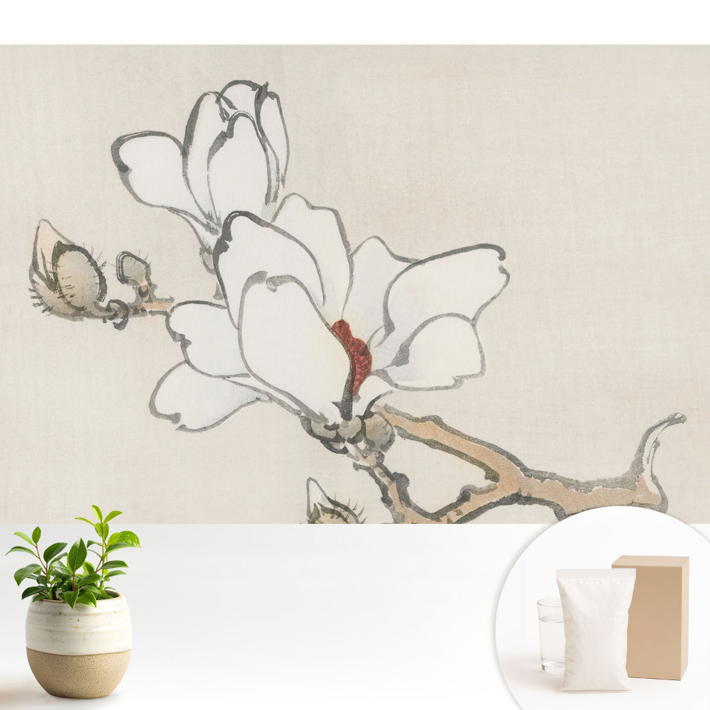 Magnolii clasice în cerneală