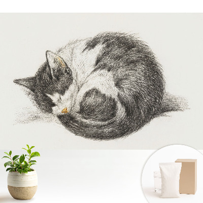 Ilustrație centrală cu un pisoi adormit