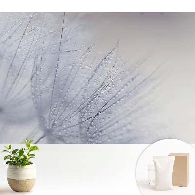 Macro cu picături pe fibrele unei păpădii