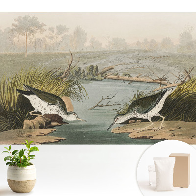 Păsări lângă lac, armonia naturii