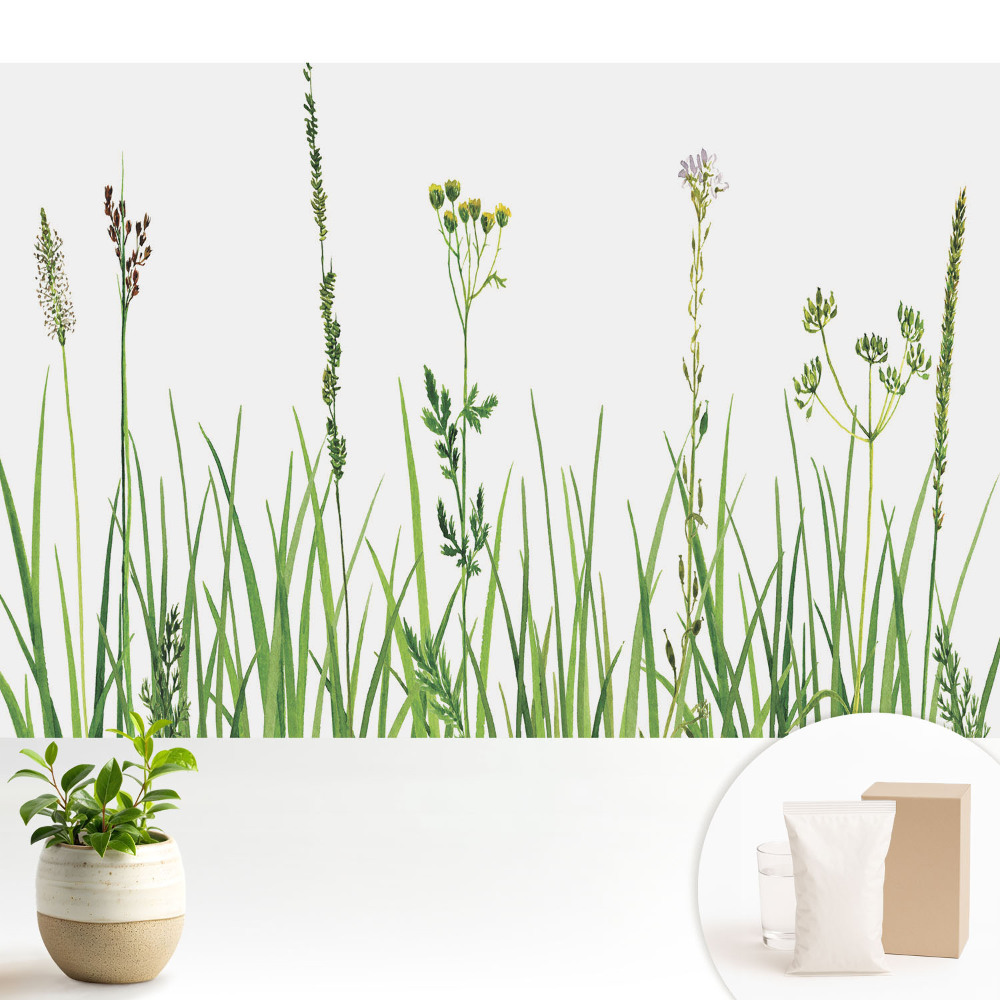 Flori sălbatice și ierburi în acuarelă, armonie a naturii