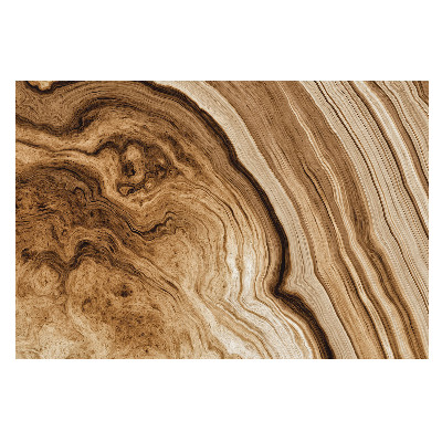 Linii organice de lemn în tonuri pământii pentru o atmosferă echilibrată