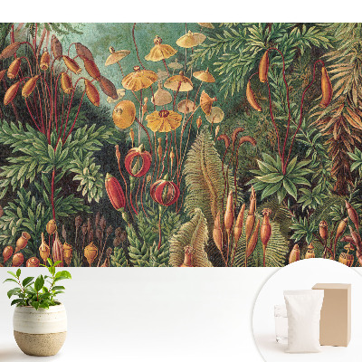 Vegetație exotică într-o compoziție armonioasă