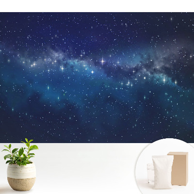 Peisaj nocturn cosmic