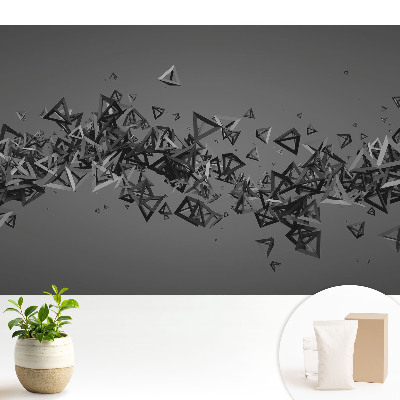 Triunghiuri haotice 3D