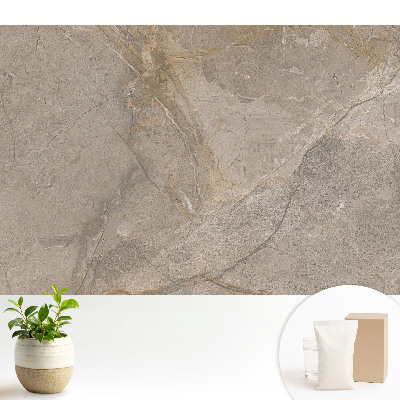 Piatră decorativă cu modele bej și gri