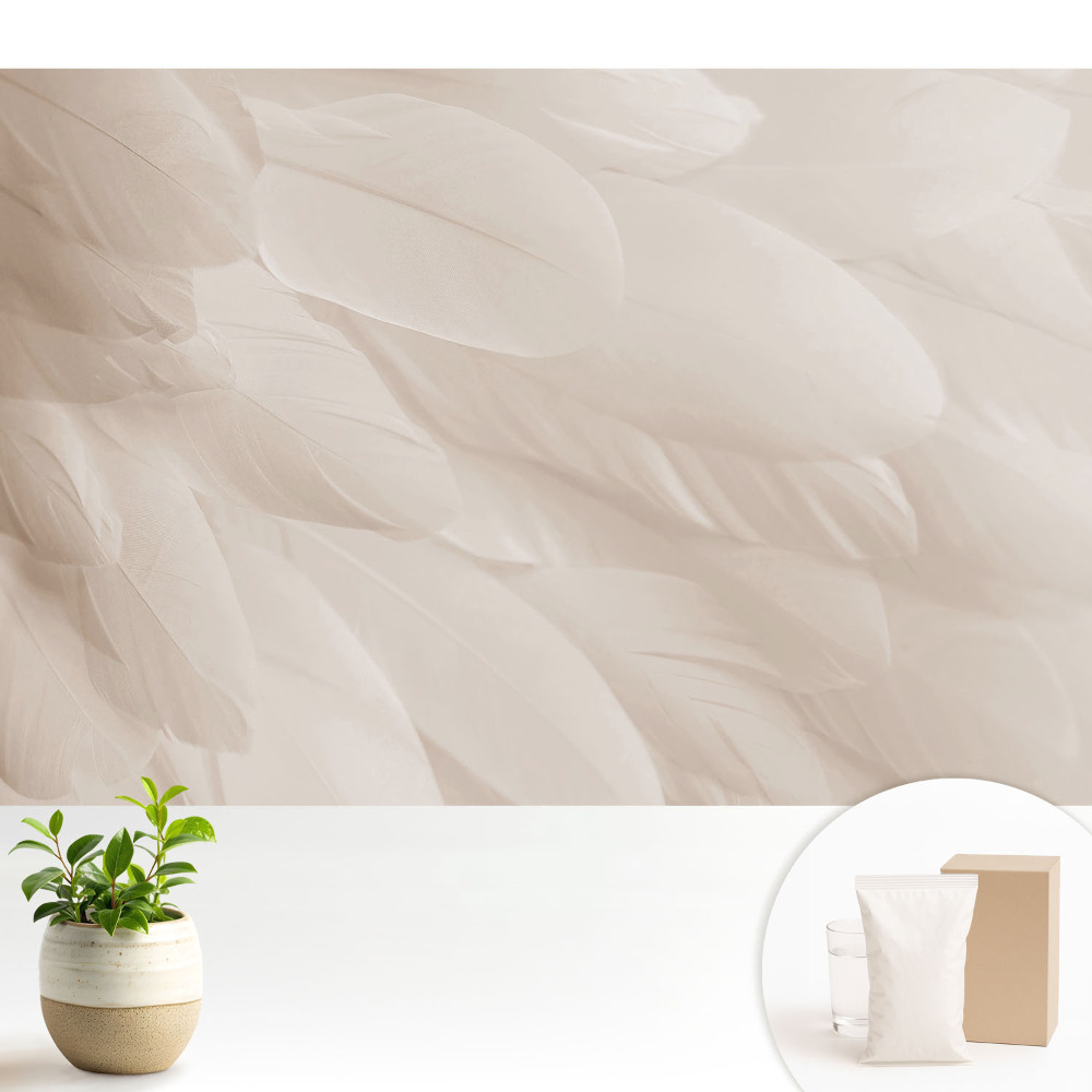 Compoziție armonioasă de pene delicate