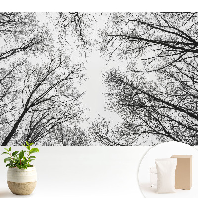 Copaci de iarnă în nuanțe alb și negru