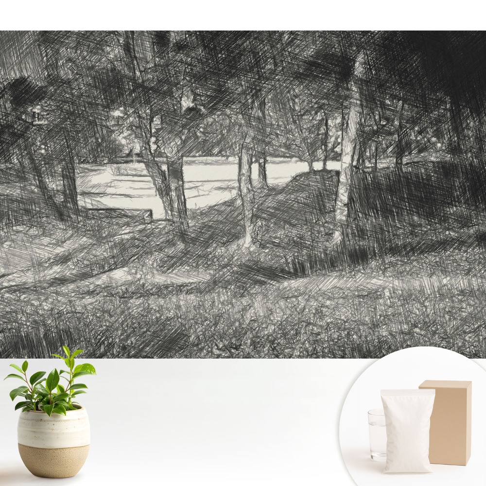 Peisaj copac râu pace armonie