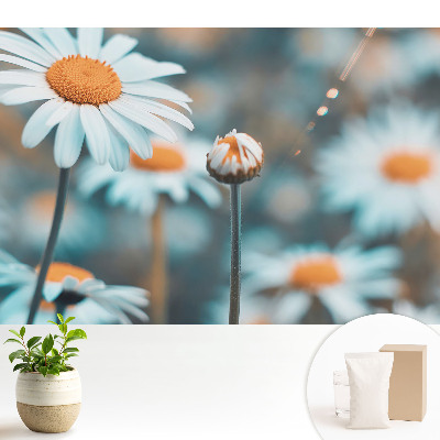 Florile subtile de mușețel evocă pace