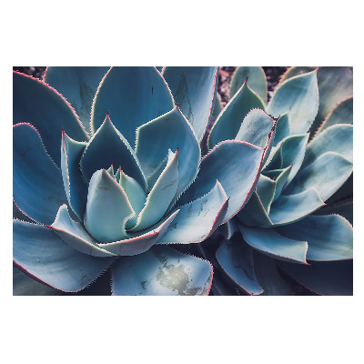 Frunze suculente dispuse simetric, design minimalist