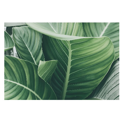 Frunze verzi în tonuri naturale pentru un aspect armonios și modern