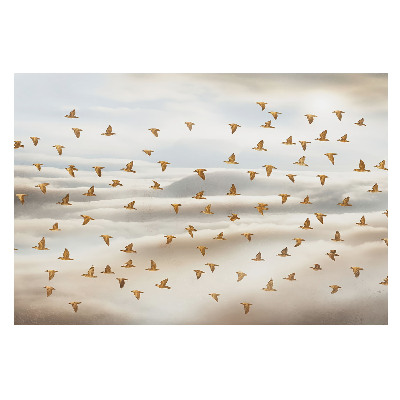 Păsări care zboară printre nori