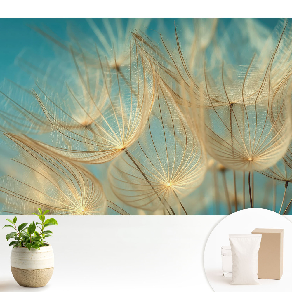 Subtilitatea naturii, modelul armonios, delicatețea