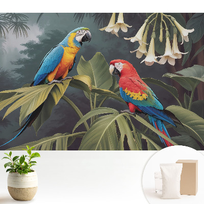 Papagali tropicali, culori exotice