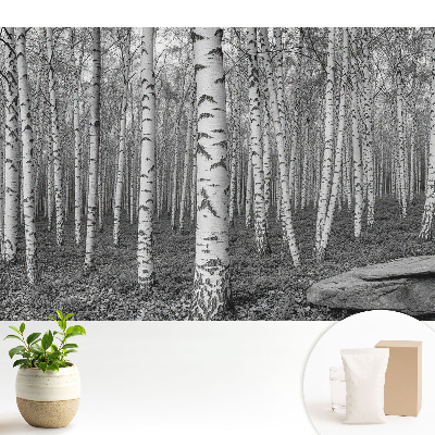 pacea pădurii de mesteacăn, armonia naturii