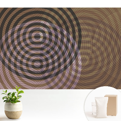 Cercuri concentrice retro modern